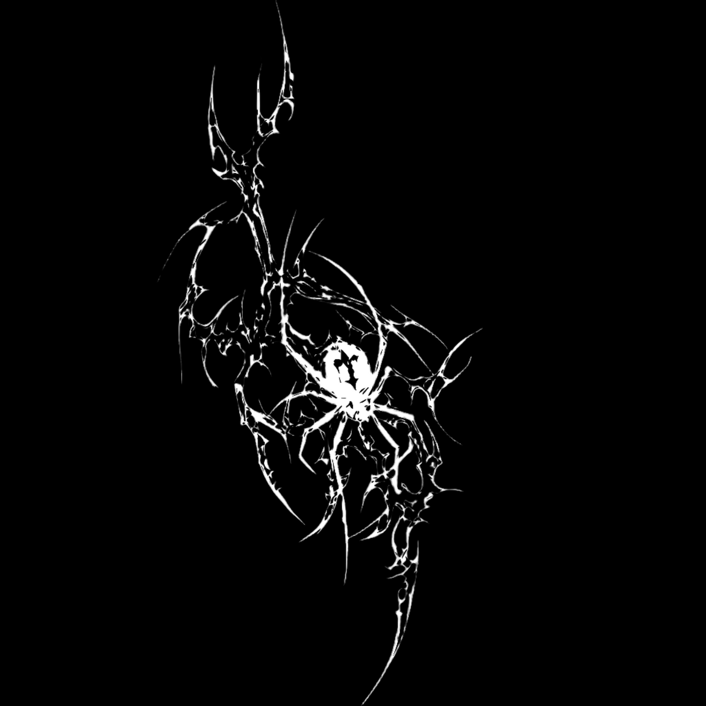 BE A SPIDER | RELAXED FIT